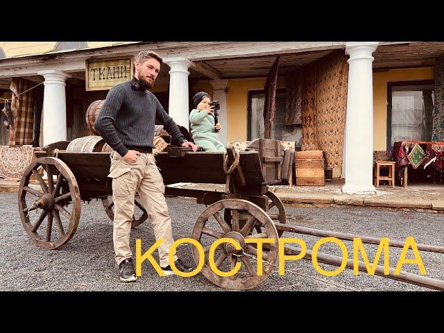 Верблюды и львы в Костроме!  Малыш в восторге!