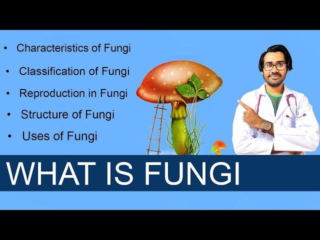 Fungi, characteristics of Fungi, structure of fungi and types of fungi in Hindi/Urdu