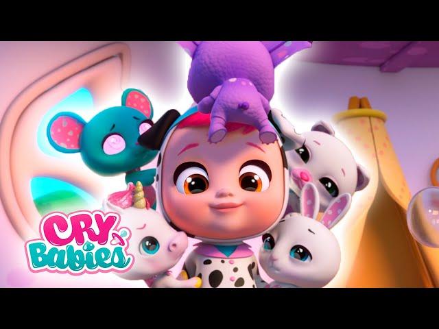 Ep 16 | Dotty, the pets aren't feeling well | Cry Babies Magic Tears New Episode |Cartoons for Kids