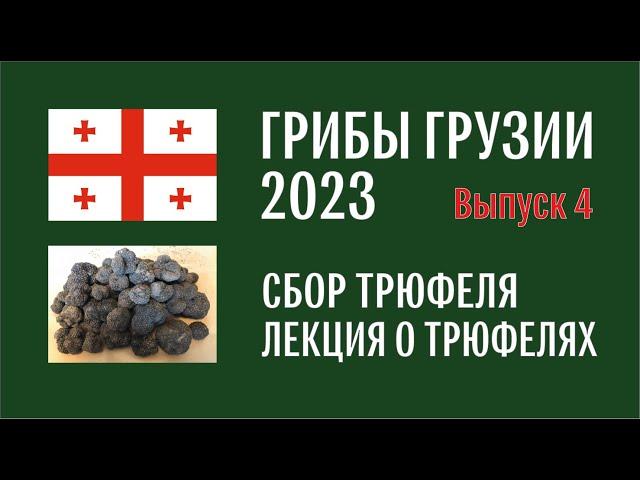 Грибы Грузии 2023. Выпуск №4. Начало октября, окрестности Тбилиси. Сбор трюфеля и лекция о трюфелях.