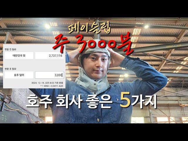  호주 용접사 주급 3000불!?  회사의 장점 5 가지 공개