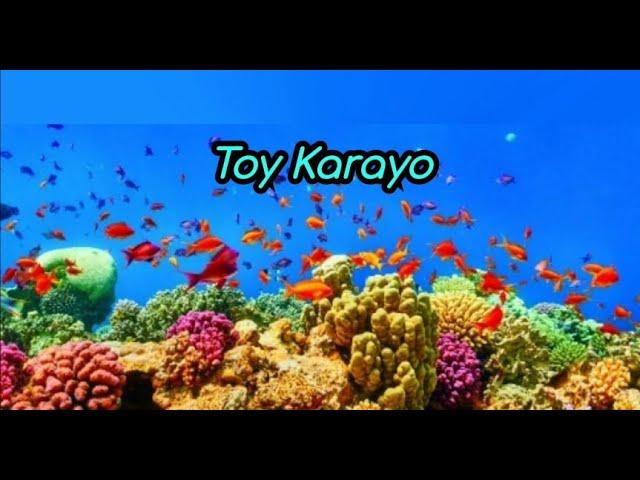 Toy Karayo with Lyrics Ilocano Song | Jemaron