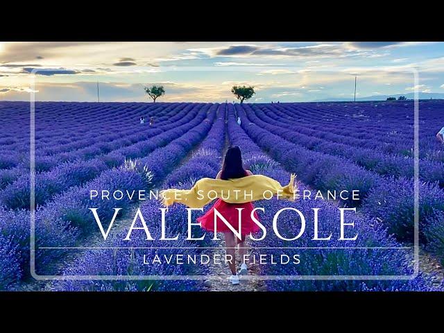 #Lavender Fields @Valensole, PROVENCE SOUTH OF FRANCE