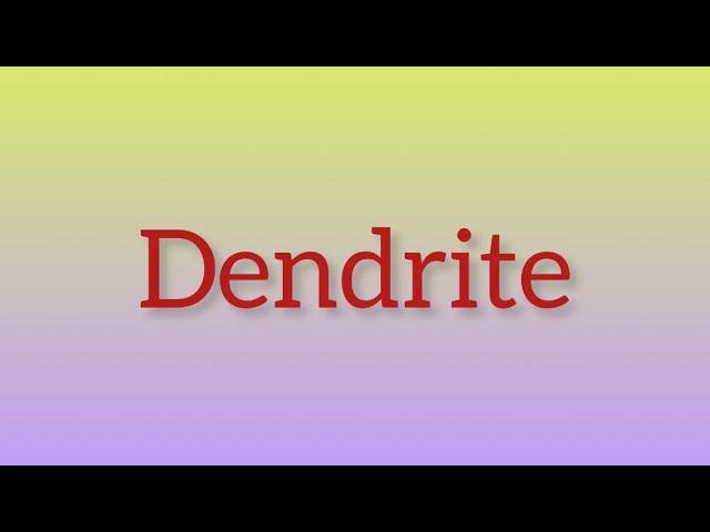 What is Dendrite?