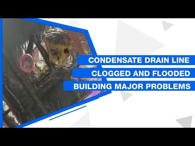 condensate drain line clogged and flooded building major problem