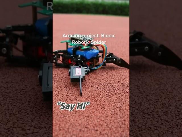 Spider Robot Bionic#Robotics #spaider #iot #bionic #OpenSource #esp8266 #esp8266project #electronic