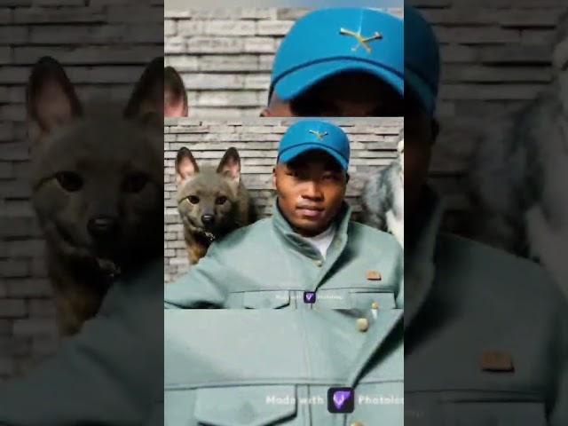 новое видео