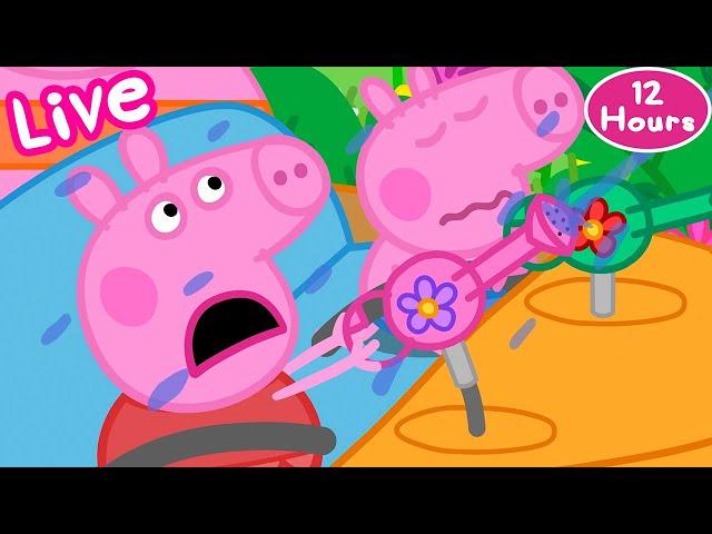  LIVE Peppa and Friends!  Peppa Pig Tales Best Adventures 2024 | 24 HOUR Livestream