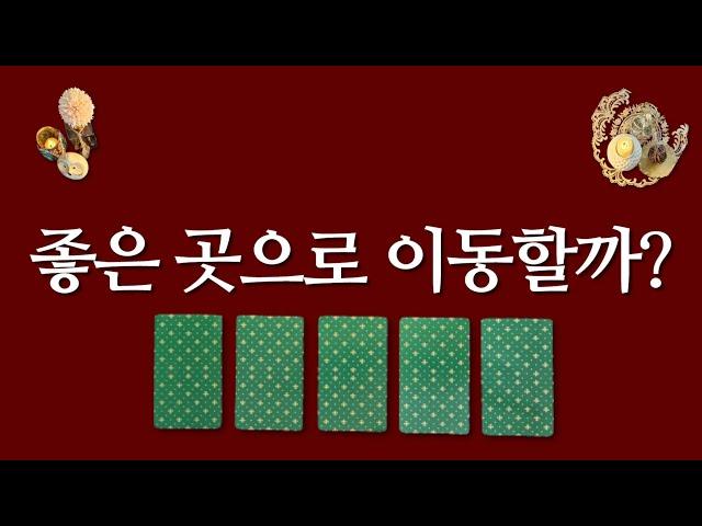 이동수가 있을까?(feat.이직,이사,취업,매매운)