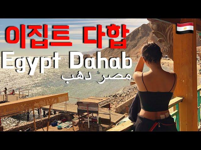  다합에서 갈만한 투어 / 베두인카페 / 밤낚시 /다합 travel vlog