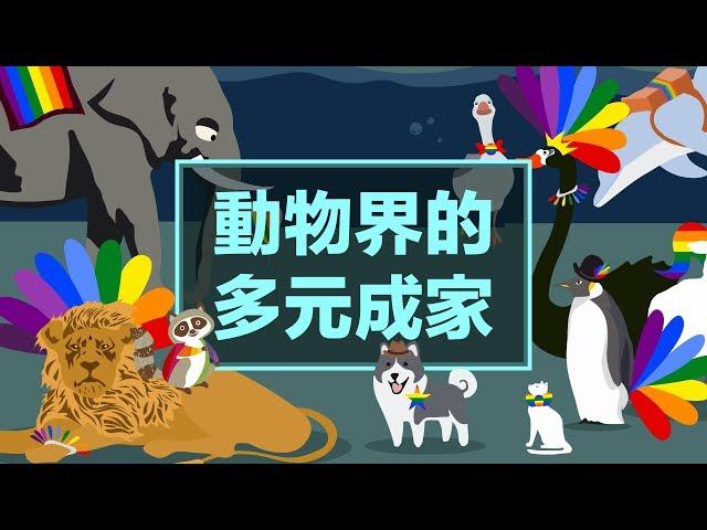 動物界的多元成家｜科學大爆炸 EP.1