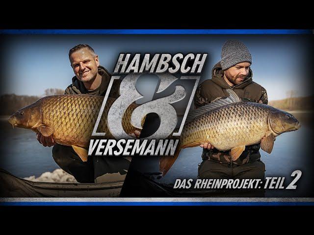 Hambsch & Versemann - Das Rheinprojekt Teil 2 (Karpfenangeln)