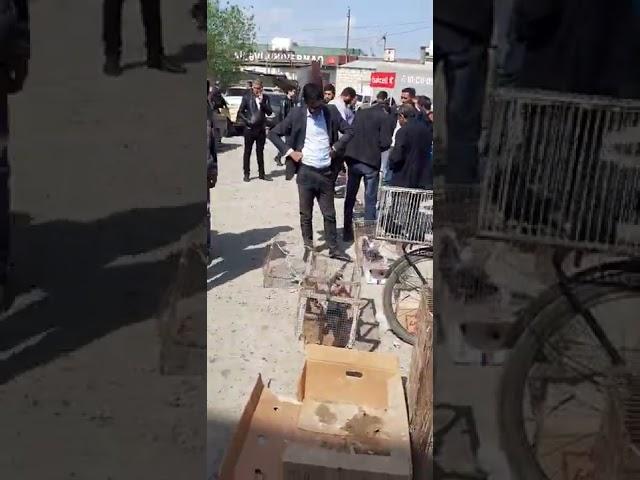sabirabad quş bazarı 24.4 .2022