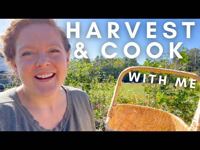 HARVEST & Cook With Me! | FARM TO TABLE