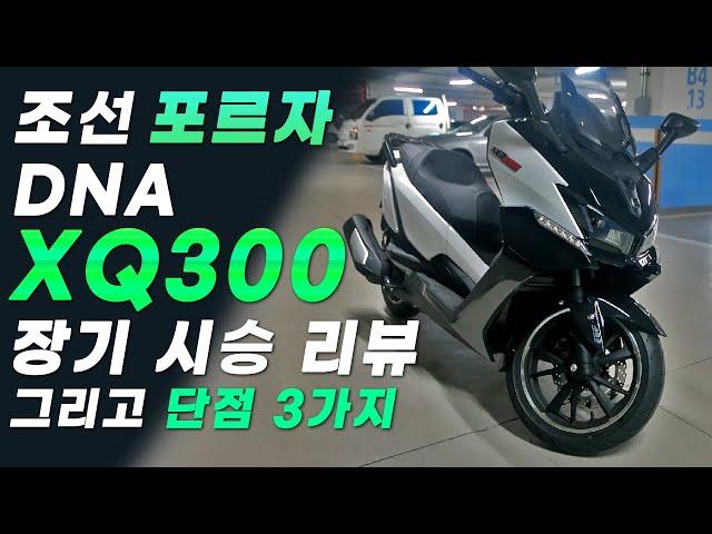 조선의 포르자! DNA모터스 빅스쿠터 XQ300 장기 시승기 리뷰 | 디자인 | 주행 | ABS | 단점 | 장점 | 거치대 마운트