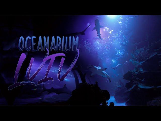 Oceanarium Lviv Океанаріум Львів цікаві місця