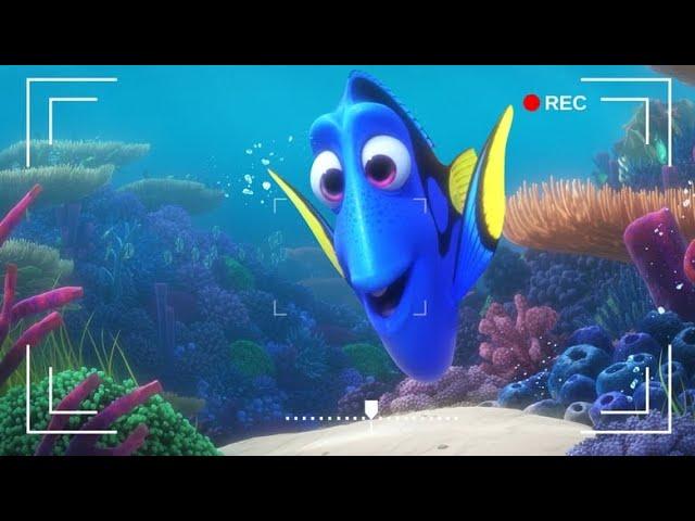 Dory’s Reef Cam Relaxing Ambiance (1 HOUR)