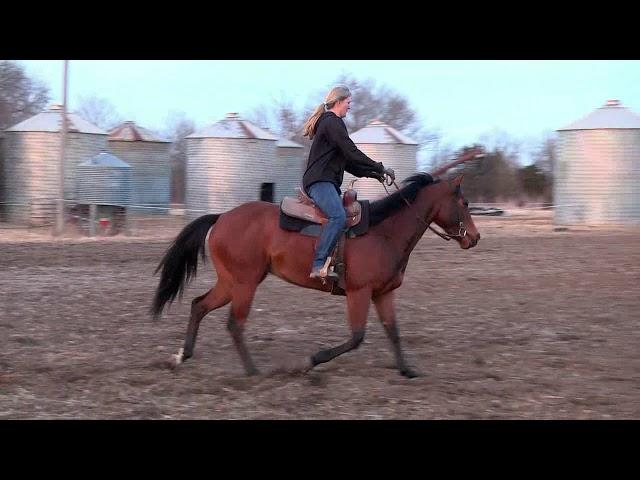 BF Eyes on Foose  Riding Demonstration