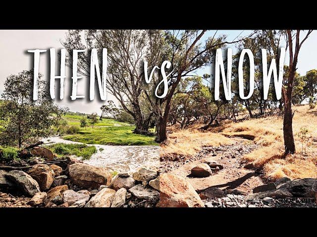 Summer in a SEMI-ARID climate | Aussie Off-grid Homestead