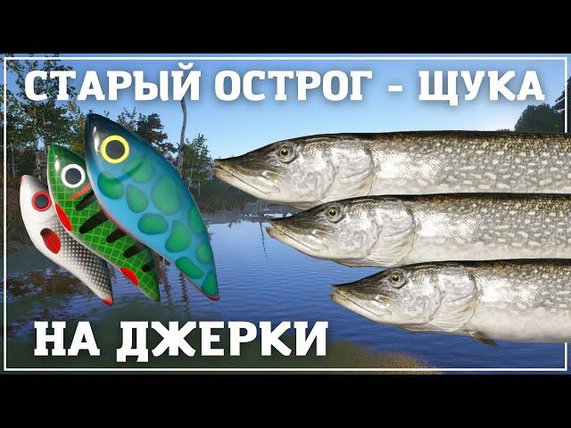 Крупная щука на Старом Остроге - актуальная точка - РР4┃maXS1k