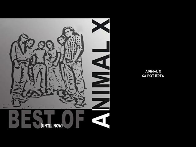 Animal X - Sa pot ierta (Official Audio)