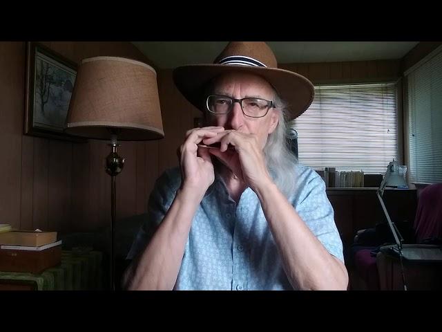 P.S. I Love You (Beatles) harmonica