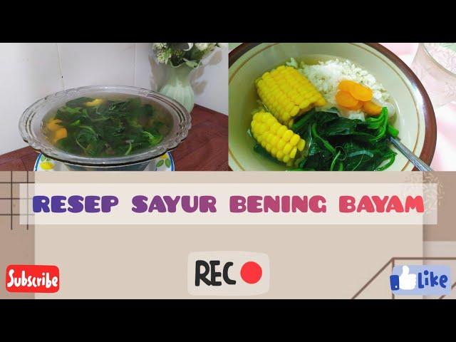 resep sayur bening gurih lezat #resepsayurbening #resepsayurbayam #sayurbening #sayurbeningbayam