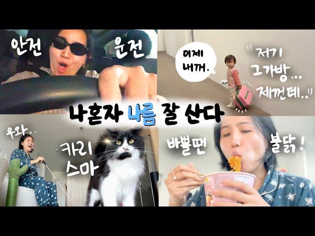 나 혼자 나름 잘먹고 잘산다! 쁘큐보이 없는 10일간의 홀로 브이로그‍️
