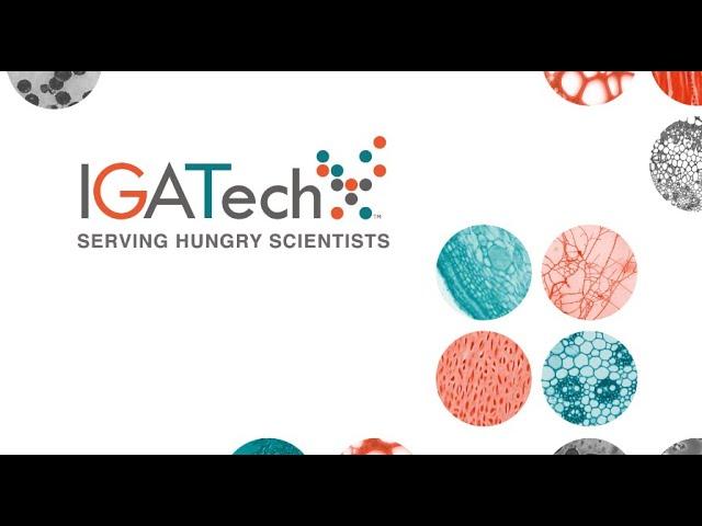 IGATech - Company presentation