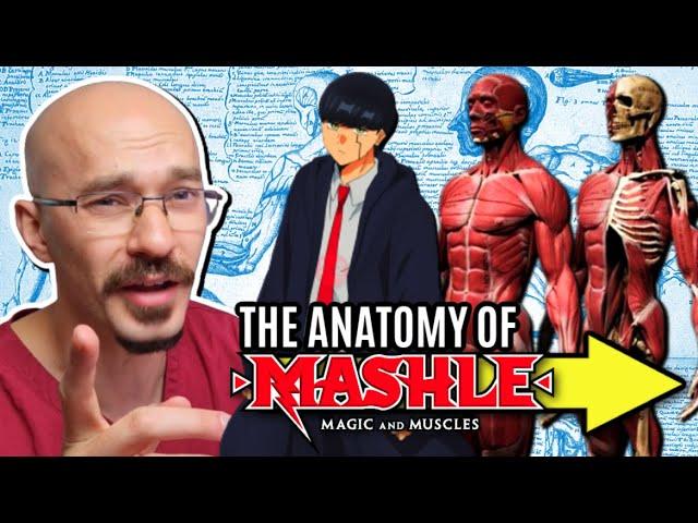 DOCTOR Reacts to MASHLE: Mash's Anatomy Explained