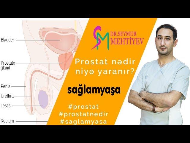 Prostat (xəstəlikləri,iltihabı, böyüməsi) nədir,niyə yaranır? | Sağlam Yaşa