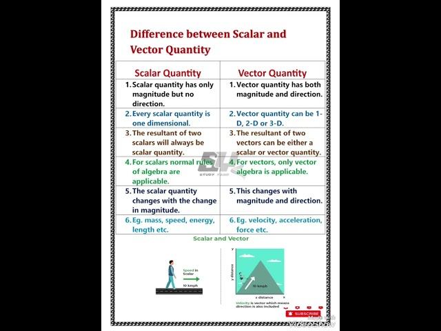 Difference between scalar and vector quantity class 11