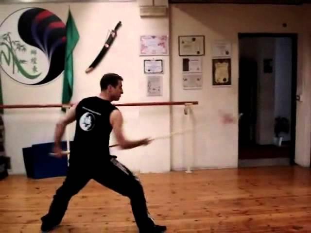 CHOW GAR MANTIS ITALIAN ACADEMY - Ying Cheung Section Form