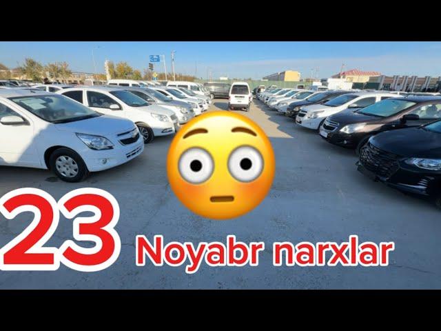 23 noyabr narxlar