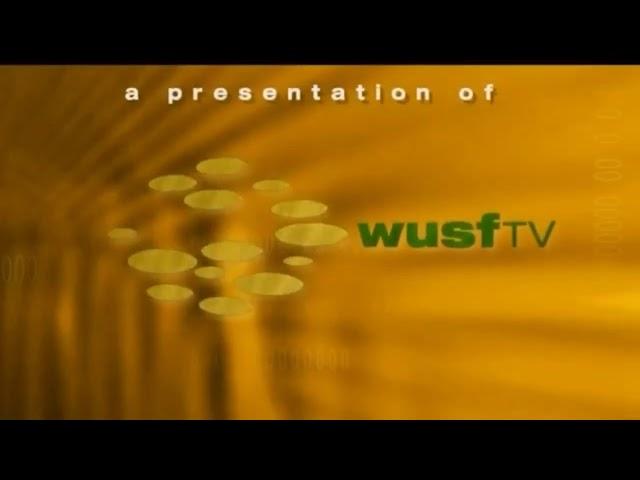 WUSF-TV/American Public Television (2006)