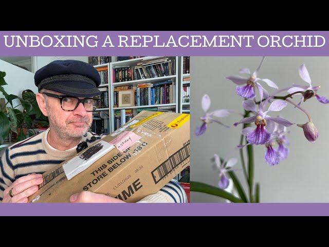 Unboxing a replacement orchid!