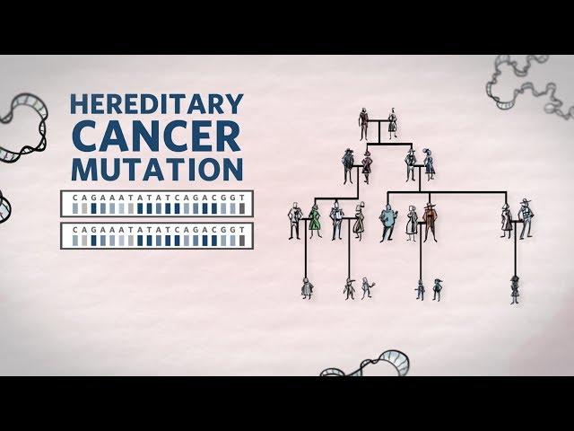 What Is Hereditary Cancer? What Is A Hereditary Cancer Mutation | Genetics 101 | Ambry Genetics