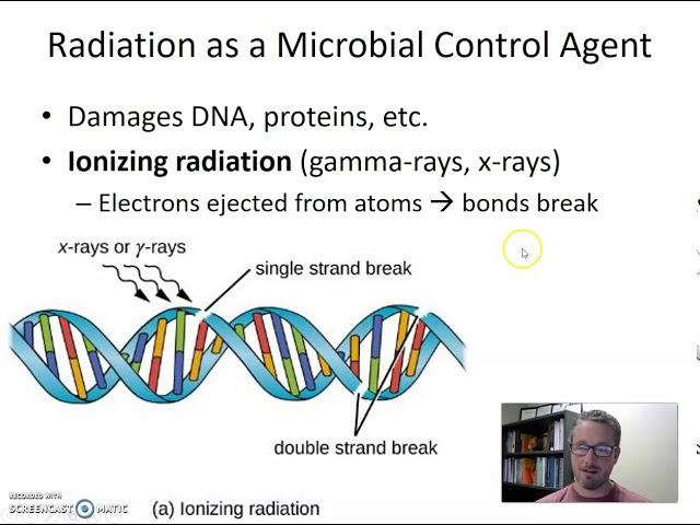 Microbial Control   Radiation