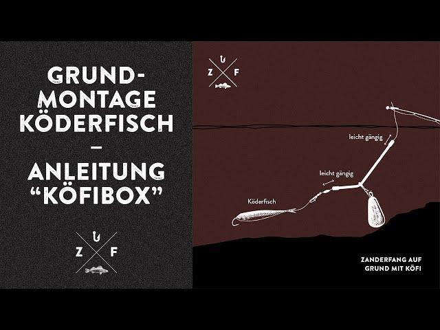 Mit Köderfisch am Grund auf Zander angeln - Montage-Anleitung zur KÖFIBOX von ZANDERFANG