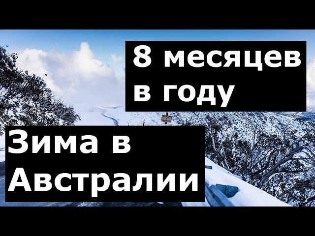 Почему зима в Австралии длится 8 месяцев в году | Сидней