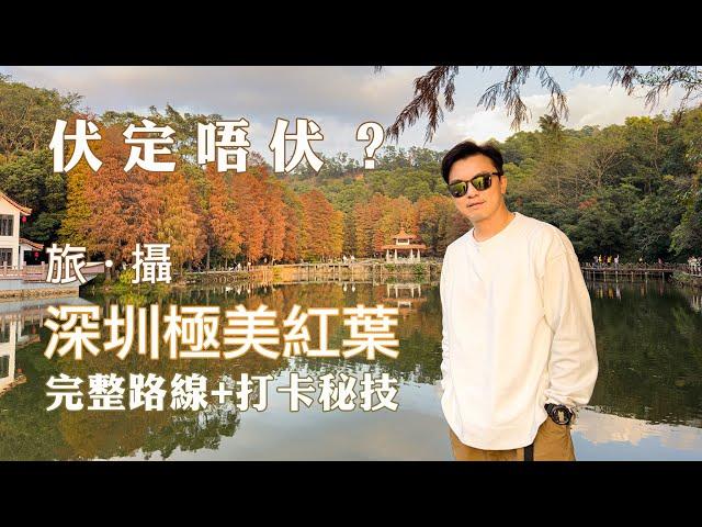 【深圳紅葉】  | 國家4A旅遊景區仙湖植物園 | 洪湖公園 | 完整路線+打卡秘技 | 落羽杉 | 深圳好去處2024｜深圳半日遊｜蓮塘口岸｜深圳景點｜深圳煲仔飯｜深圳打卡點