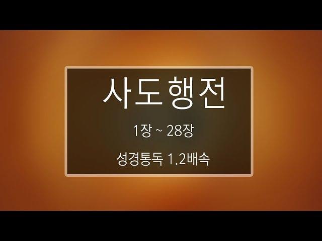 성경 읽기: 사도행전 1장 - 28장