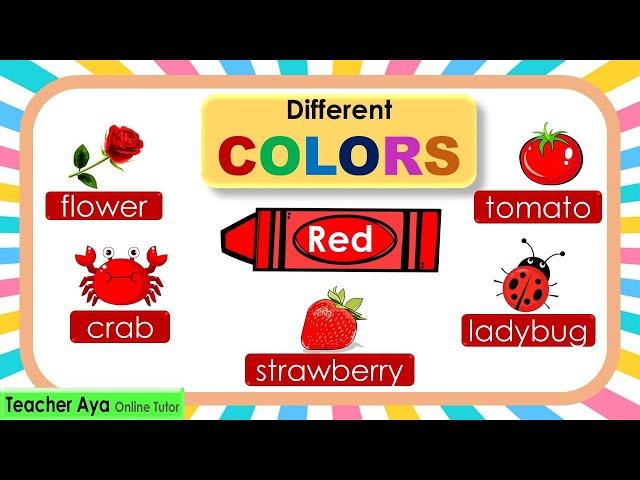 Learn the different colors | Video tutorial for kids