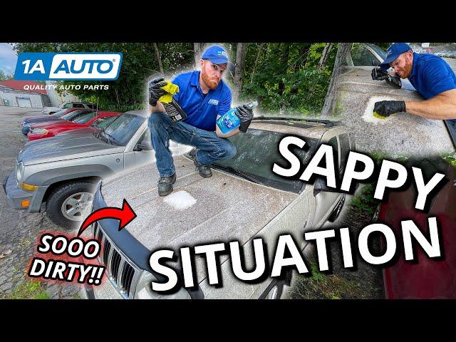 Tree Sweat, Pitch, and Sap All Over Your Car or Truck? Finding Out the Best Cleaner to Remove It!