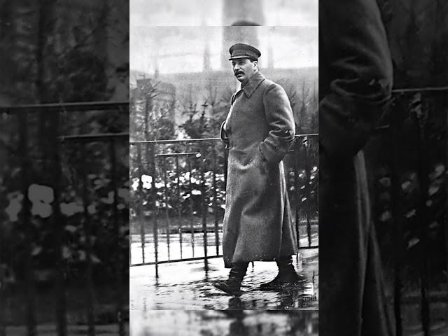 Интересные факты о Сталине часть два #вторая_мировая #история #history #youtubeshorts #youtube