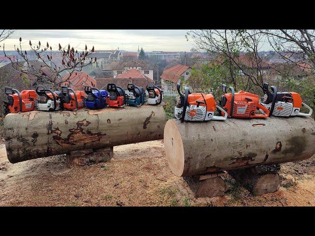 Chainsaws battle Stihl MS 881, MS 880, MS 661, MS 462, Husqvarna 3120xp, 395xp, 390xp, Makita 7900..