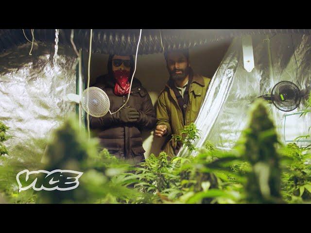 How Amsterdam Weed Dealers Get Around the 500g Limit | WEEDIQUETTE