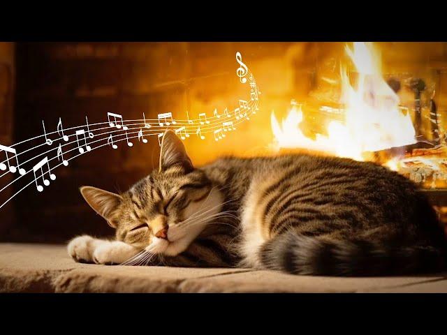 20 Hours Cat Purring & Piano  Relax with Fireplace  ASMR Relaxing