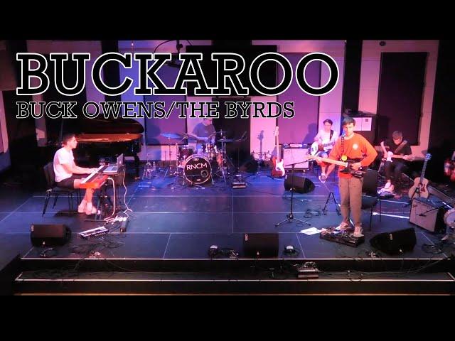 Buckaroo - Chris Larcombe (Live)