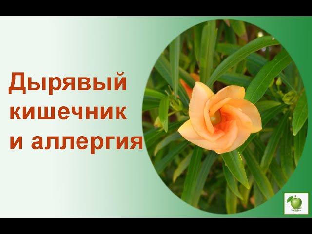Аллергии и "дырявый кишечник"  Как это связано?
